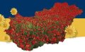 Vir�gos Magyarorsz�g�rt Mozgalom